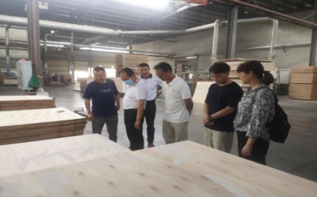 �� �� �� Ӎ.2023���20���{�оGɫ������I234